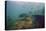 Common Snook (Centropomus Undecimalis) Crystal River, Florida, USA-Reinhard Dirscherl-Premier Image Canvas