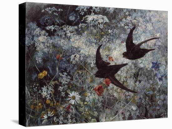 Common Swift, 1886-Bruno Andreas Liljefors-Premier Image Canvas