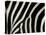 Common Zebra Close-Up Showing Stripes, Tanzania-Edwin Giesbers-Premier Image Canvas