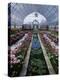 Como Park Conservatory, St. Paul, Minnesota, USA-null-Premier Image Canvas