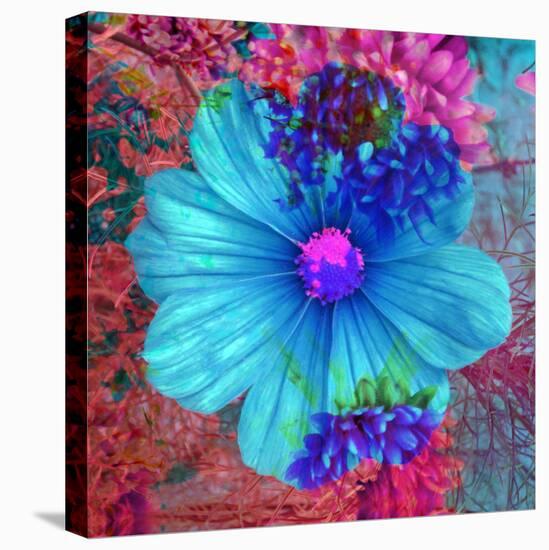Composing with Blue Flowers-Alaya Gadeh-Premier Image Canvas