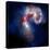 Composite Image of Antennae Galaxies - Interstellar Gas with Elements from Supernova Explosions-null-Premier Image Canvas