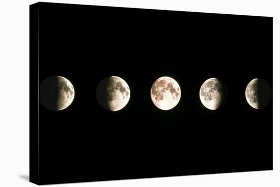 Composite Image of the Phases of the Moon-John Sanford-Premier Image Canvas