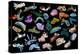 Composite image of tropical nudibranchs, Indo-Pacific-Georgette Douwma-Premier Image Canvas