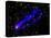 Composite Image, Two Tails Stretching Behind a Galaxy as it Travels Through a Galaxy Cluster-null-Premier Image Canvas