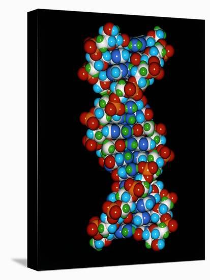 Computer Graphic of a Human DNA Molecule-Laguna Design-Premier Image Canvas