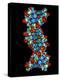 Computer Graphic of a Human DNA Molecule-Laguna Design-Premier Image Canvas