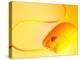 Computer Mouse in Yellow Light-null-Premier Image Canvas