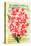 Conard & Jones 1898 Pink Canna-null-Stretched Canvas