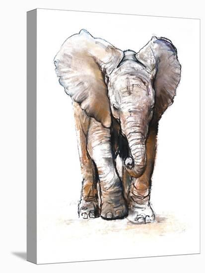 Concentration (Baby Elephant), 2018 (Conté and Pastel on Paper)-Mark Adlington-Premier Image Canvas