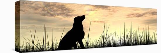 Concept or Conceptual Young Beautiful Black Cute Dog Silhouette in Grass or Meadow over a Sky at Su-bestdesign36-Premier Image Canvas