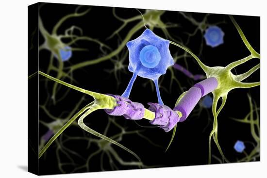 Conceptual image of a multiple sclerosis neuron healed by a T-cell.-Stocktrek Images-Stretched Canvas