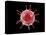 Conceptual image of a virus.-Stocktrek Images-Stretched Canvas