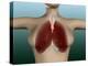 Conceptual Image of Female Body with Lungs-null-Stretched Canvas