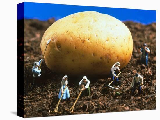 Conceptual Image of Genetically Engineered Potato-Mauro Fermariello-Premier Image Canvas