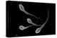 Conceptual Image of Male Sperm-null-Stretched Canvas