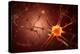 Conceptual Image of Neuron-null-Stretched Canvas