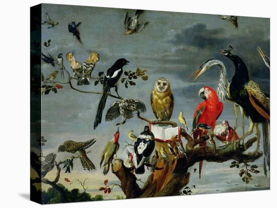 Concert of Birds-Frans Snyders-Premier Image Canvas