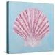 Conch and Scallop II-Ann Marie Coolick-Stretched Canvas