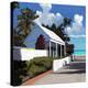 Conch Republic 01-Rick Novak-Stretched Canvas