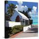 Conch Republic 01-Rick Novak-Stretched Canvas