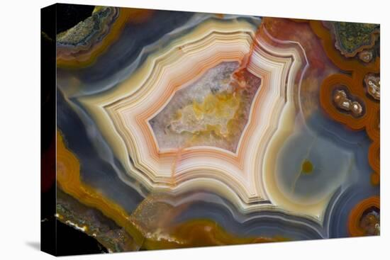 Condor Agate with Fortifcations-Darrell Gulin-Premier Image Canvas