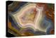 Condor Agate with Fortifcations-Darrell Gulin-Premier Image Canvas