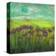 Cone Flowers on Lime Hill I-Anne Hempel-Stretched Canvas