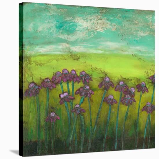 Cone Flowers on Lime Hill I-Anne Hempel-Stretched Canvas