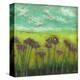 Cone Flowers on Lime Hill II-Anne Hempel-Stretched Canvas