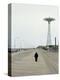 Coney Island I, 1989-Max Ferguson-Premier Image Canvas