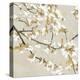 Confetti Bloom I - Shimmer-Tania Bello-Stretched Canvas