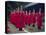 Confucian Ceremony, Chonghyo Shrine, Seoul, South Korea, Korea, Asia-Alain Evrard-Premier Image Canvas