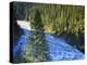 Conifer Forest Along River, Henrys Fork, Snake River, Targhee National Forest, Idaho, USA-Scott T. Smith-Premier Image Canvas