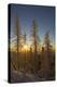 Conifers, Snow, Sunset, Back Light Mountain Forest, Forest-Ronald Wittek-Premier Image Canvas