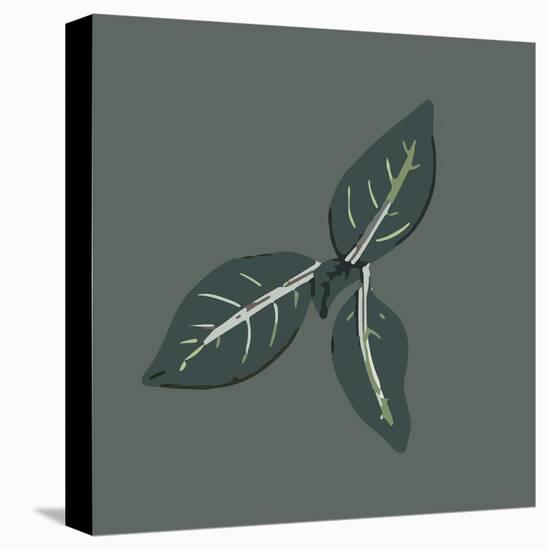 Conservatory Plant 2-Sweet Melody Designs-Stretched Canvas