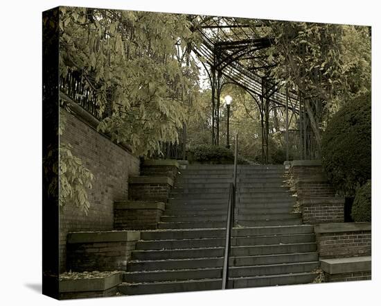 Conservatory Stairs-Richard James-Stretched Canvas