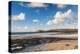 Constantine Bay, Cornwall, England, United Kingdom, Europe-Matthew Williams-Ellis-Premier Image Canvas