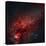 Constellation Cygnus with Multiple Nebulae Visible-Stocktrek Images-Premier Image Canvas