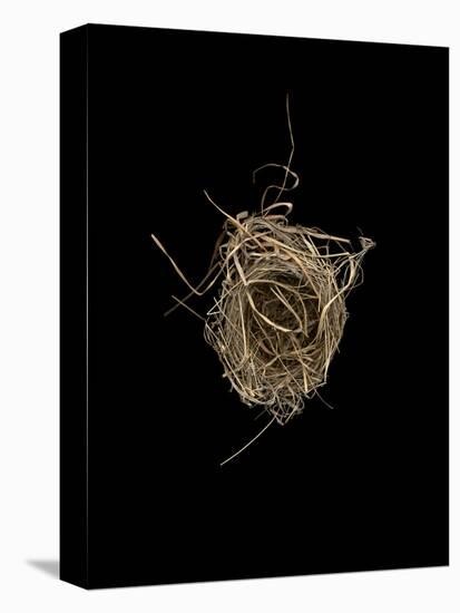 Construction 1: Birds Nest from Above-Doris Mitsch-Premier Image Canvas