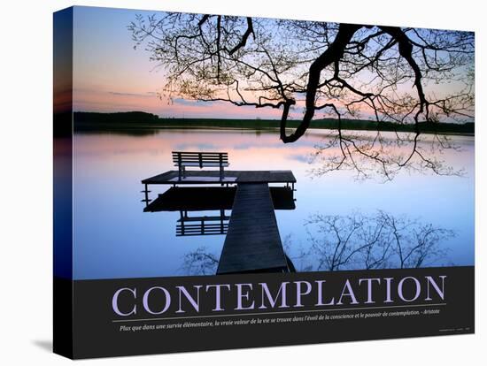 Contemplation (French Translation)-null-Stretched Canvas