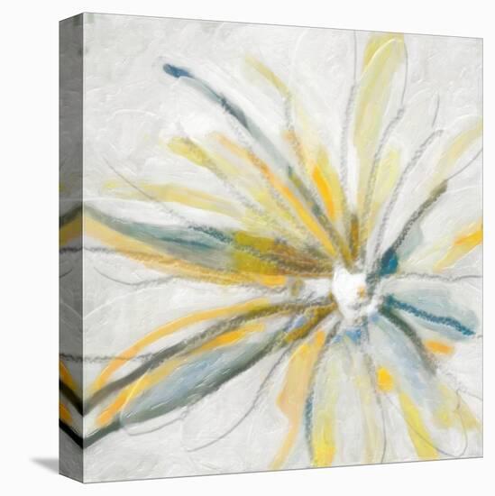 Contempo Daisy-Taylor Greene-Stretched Canvas