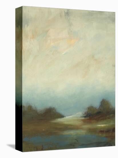 Contemporary Vista II-Lisa Ridgers-Stretched Canvas
