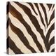 Contemporary Zebra III-Patricia Pinto-Stretched Canvas