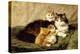 Contentment, 1900-Henriette Ronner-Knip-Premier Image Canvas