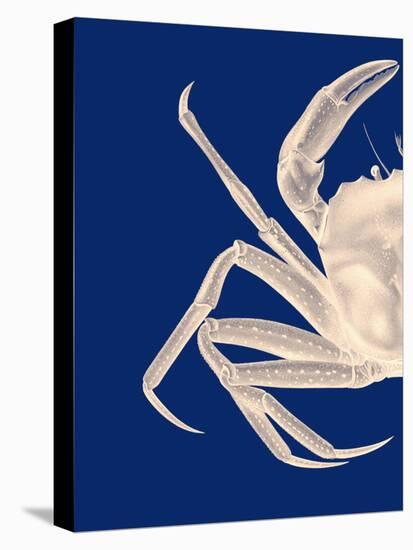 Contrasting Crab in Navy Blue a-Fab Funky-Stretched Canvas