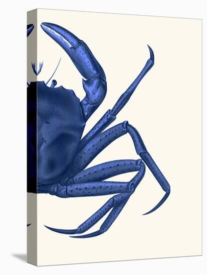 Contrasting Crab in Navy Blue b-Fab Funky-Stretched Canvas