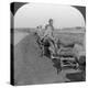 Conveying Salt to the Interior by Wheelbarrow Train, China, 1907-null-Premier Image Canvas