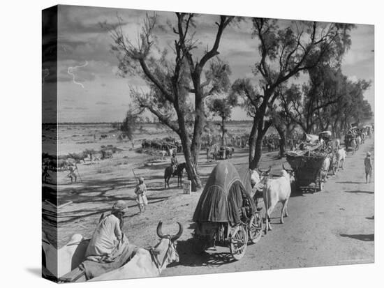 Convoy of Sikhs Migrating to East Punjab After the Division of India-Margaret Bourke-White-Premier Image Canvas