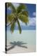 Cook Islands, Aitutaki. One Foot Island. White Sand Beach with Trees-Cindy Miller Hopkins-Premier Image Canvas